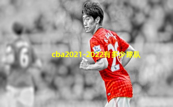 cba2021-2022有多少球队
