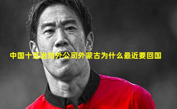 中国十五冶对外公司外蒙古为什么最近要回国