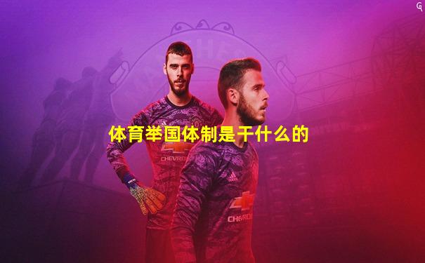 体育举国体制是干什么的