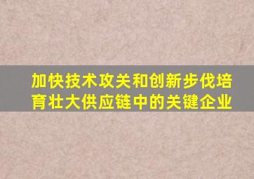加快技术攻关和创新步伐培育壮大供应链中的关键企业