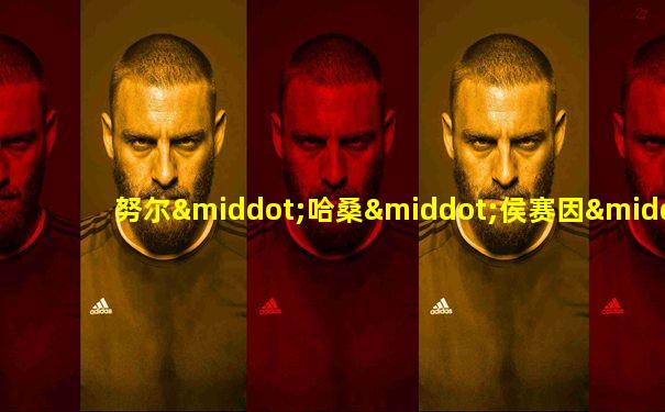 努尔·哈桑·侯赛因·努尔·阿德