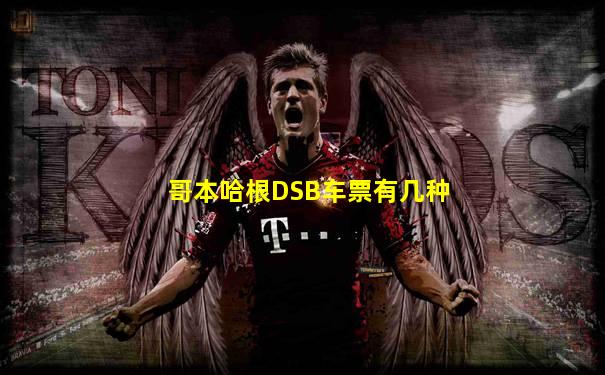 哥本哈根DSB车票有几种
