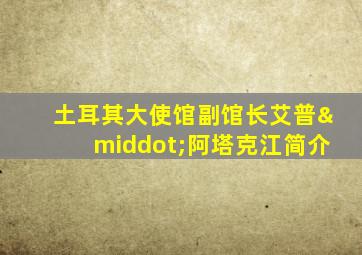 土耳其大使馆副馆长艾普·阿塔克江简介