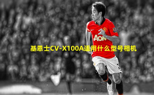 基恩士CV-X100A适用什么型号相机
