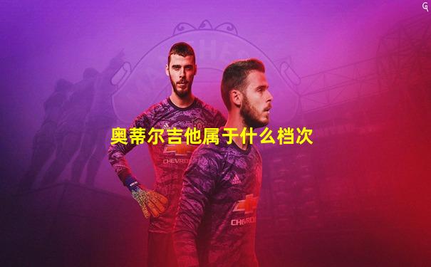 奥蒂尔吉他属于什么档次