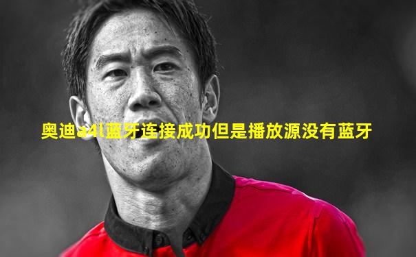 奥迪a4l蓝牙连接成功但是播放源没有蓝牙