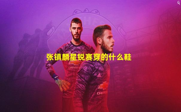 张镇麟星锐赛穿的什么鞋