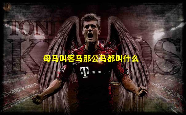 母马叫客马那公马都叫什么