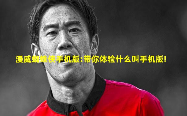 漫威蜘蛛侠手机版:带你体验什么叫手机版!