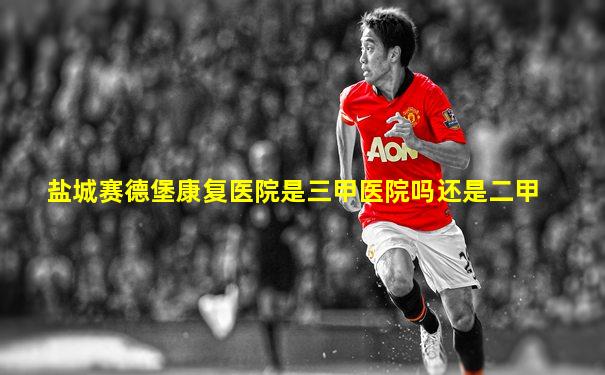盐城赛德堡康复医院是三甲医院吗还是二甲