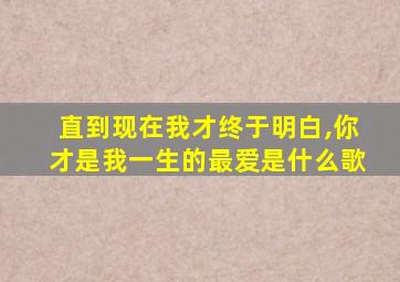 直到现在我才终于明白,你才是我一生的最爱是什么歌