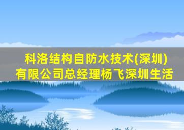 科洛结构自防水技术(深圳)有限公司总经理杨飞深圳生活