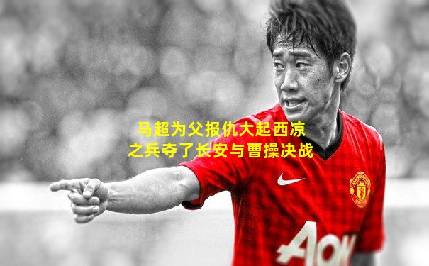 马超为父报仇大起西凉之兵夺了长安与曹操决战