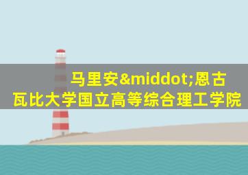 马里安·恩古瓦比大学国立高等综合理工学院