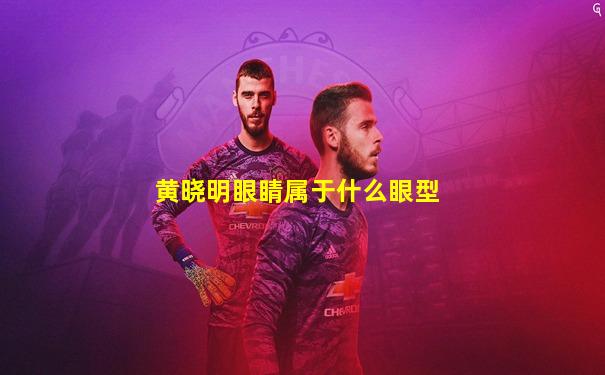 黄晓明眼睛属于什么眼型