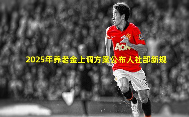 2025年养老金上调方案公布人社部新规