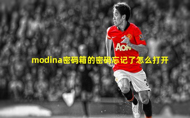 modina密码箱的密码忘记了怎么打开