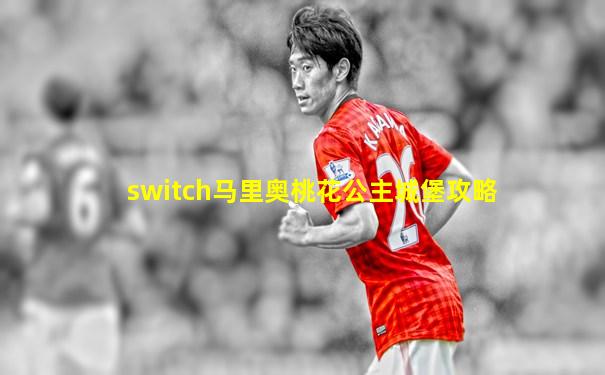 switch马里奥桃花公主城堡攻略