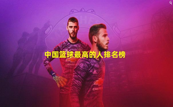 中国篮球最高的人排名榜