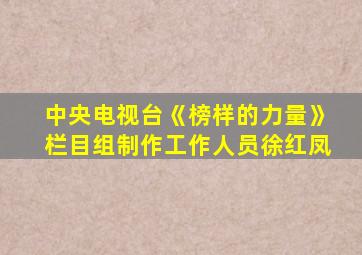 中央电视台《榜样的力量》栏目组制作工作人员徐红凤