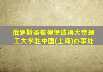 俄罗斯圣彼得堡彼得大帝理工大学驻中国(上海)办事处