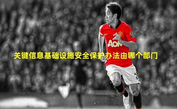 关键信息基础设施安全保护办法由哪个部门