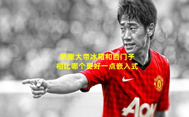 凯撒大帝冰箱和西门子相比哪个更好一点嵌入式