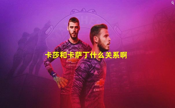 卡莎和卡萨丁什么关系啊