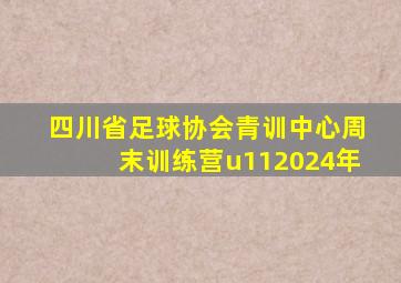 四川省足球协会青训中心周末训练营u112024年