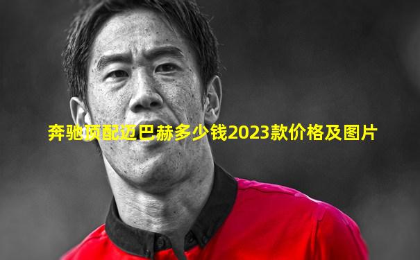 奔驰顶配迈巴赫多少钱2023款价格及图片