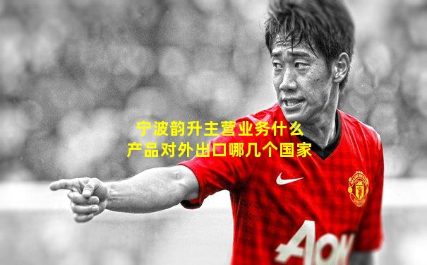 宁波韵升主营业务什么产品对外出口哪几个国家
