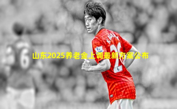 山东2025养老金上调最新方案公布