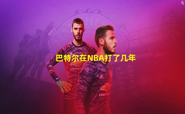 巴特尔在NBA打了几年