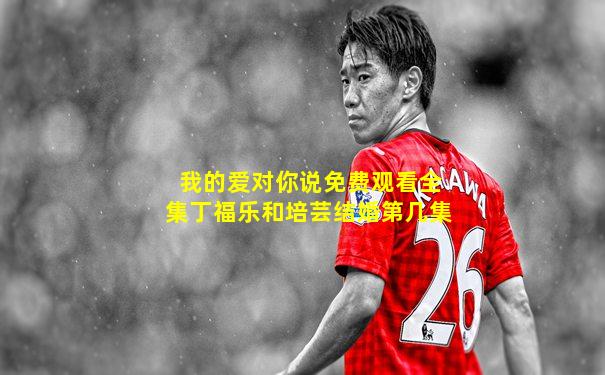 我的爱对你说免费观看全集丁福乐和培芸结婚第几集
