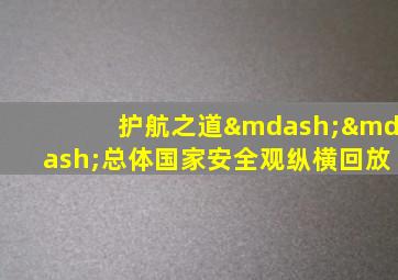 护航之道——总体国家安全观纵横回放