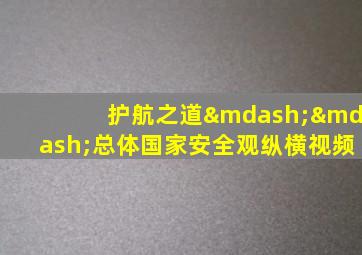 护航之道——总体国家安全观纵横视频