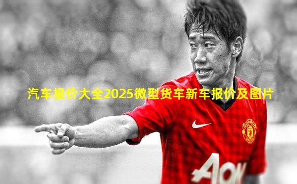 汽车报价大全2025微型货车新车报价及图片