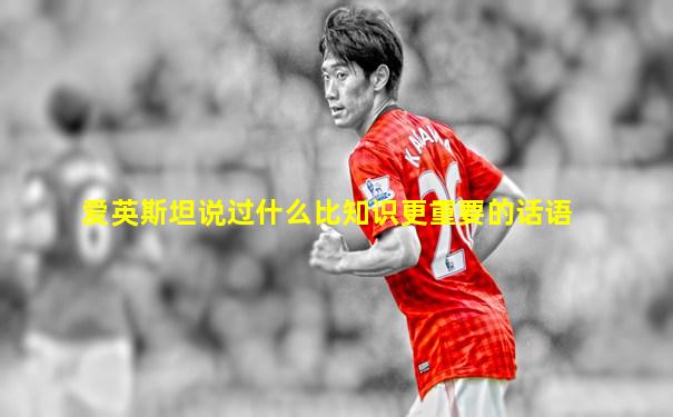 爱英斯坦说过什么比知识更重要的话语