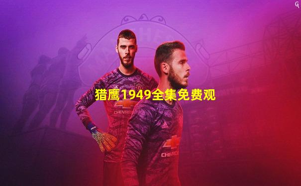 猎鹰1949全集免费观