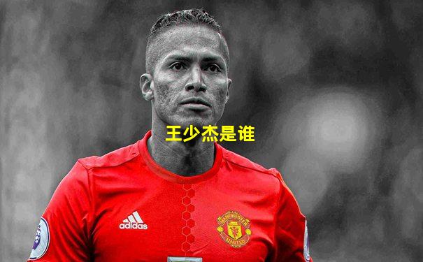 王少杰是谁