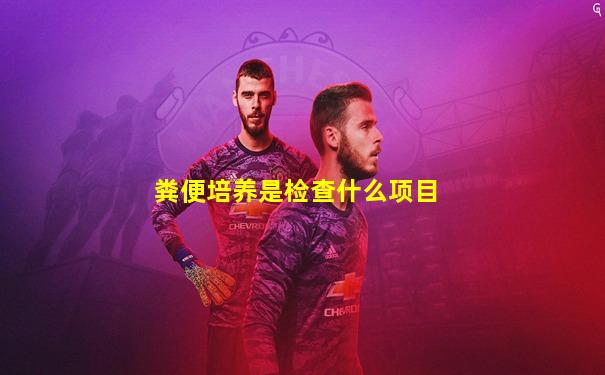 粪便培养是检查什么项目