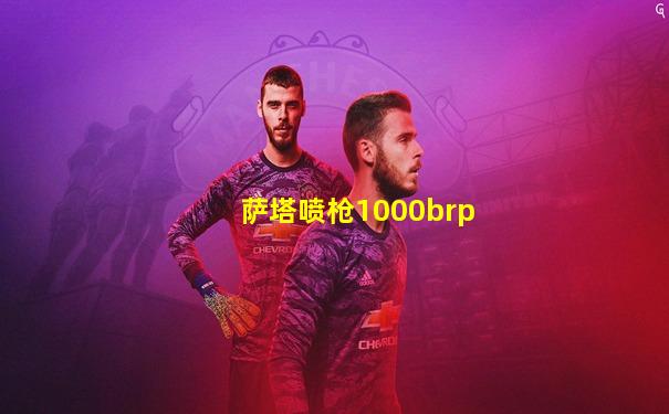 萨塔喷枪1000brp
