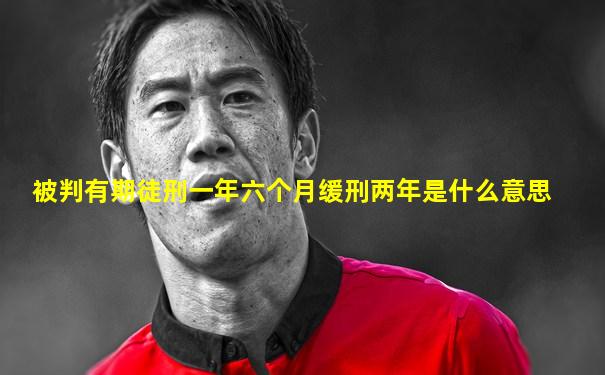 被判有期徒刑一年六个月缓刑两年是什么意思