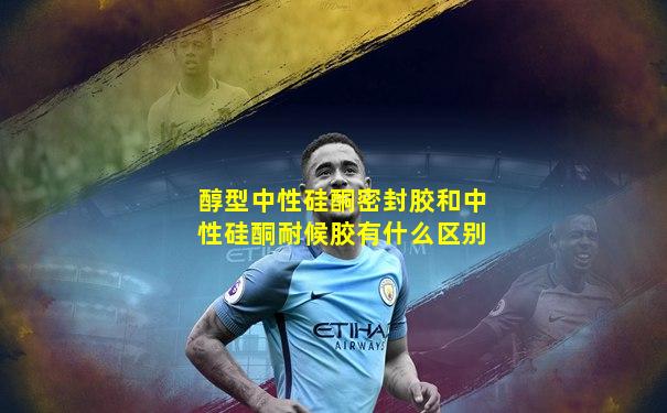 醇型中性硅酮密封胶和中性硅酮耐候胶有什么区别
