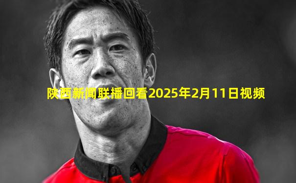 陕西新闻联播回看2025年2月11日视频