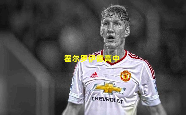 霍尔罗伊德高中